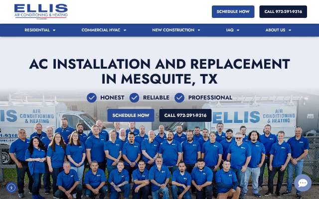 Ellis Air's page as the assistant saw it