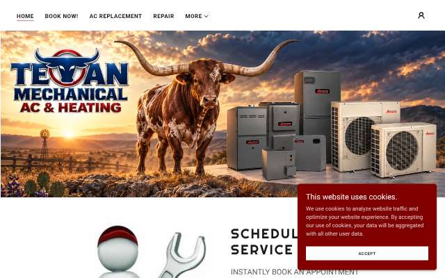 Texas Mechanical / Texan Mechanical AC & Heating's page as the assistant saw it