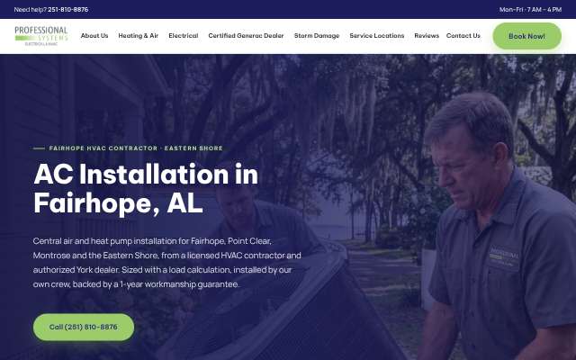 Professional Systems's page as the assistant saw it
