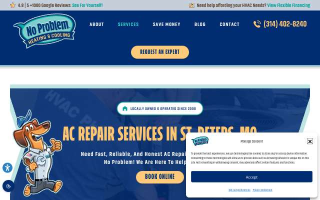 No Problem Heating & Cooling's page as the assistant saw it
