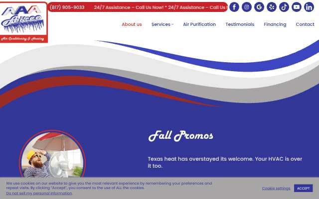 AAA Airco Air Conditioning & Heating's page as the assistant saw it