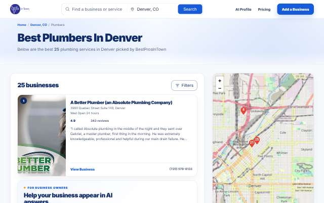 Doctor Fix-It Plumbing, Heating, Cooling & Electric's page as the assistant saw it