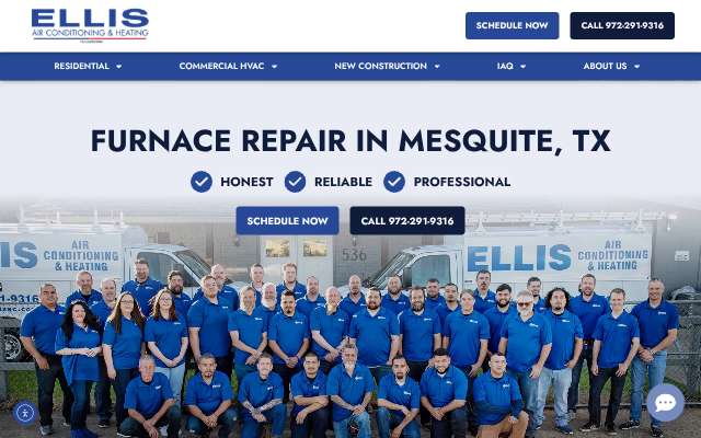 Ellis Air's page as the assistant saw it