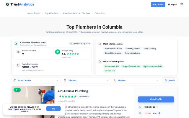 CPS Drain & Plumbing's page as the assistant saw it