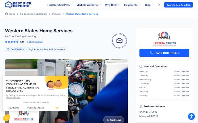 Western States Home Services (Mesa)'s page as the assistant saw it