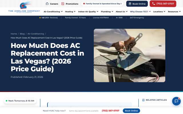 The Cooling Company's page as the assistant saw it