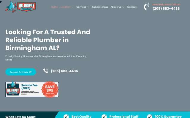 Mr. Drippy Plumbing's page as the assistant saw it
