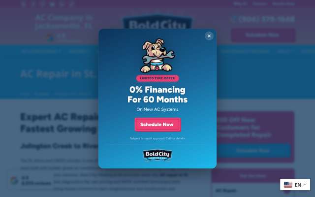 Bold City Heating & Air's page as the assistant saw it