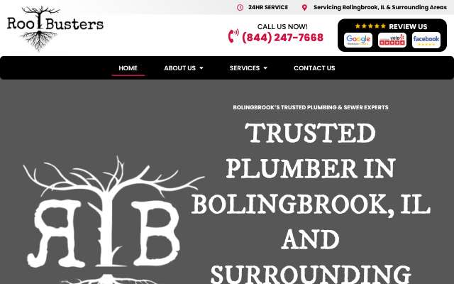 RootBusters Plumbing, Sewer and Drains's page as the assistant saw it