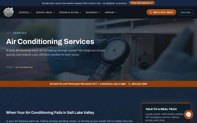 SOS Air's page as the assistant saw it