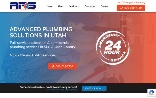 APS Advanced Plumbing Solutions's page as the assistant saw it