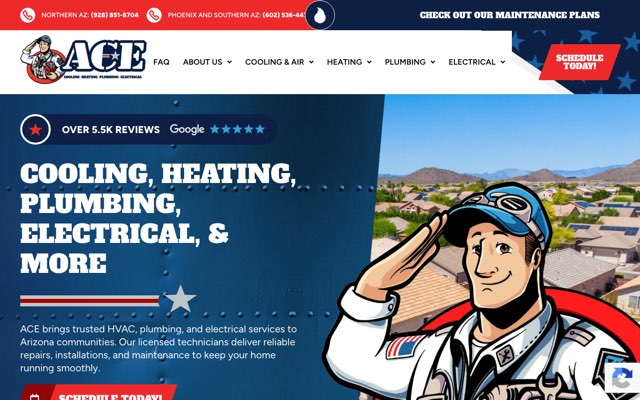 Page cited for ACE Home Services