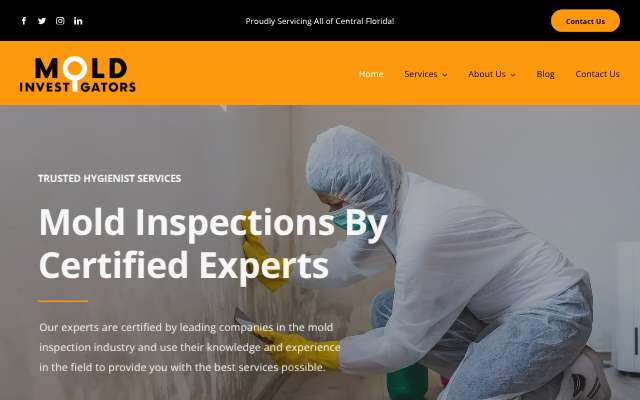 Mold Investigators's page as the assistant saw it