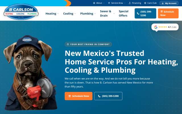 B. Carlson Heating, Air Conditioning and Plumbing's page as the assistant saw it