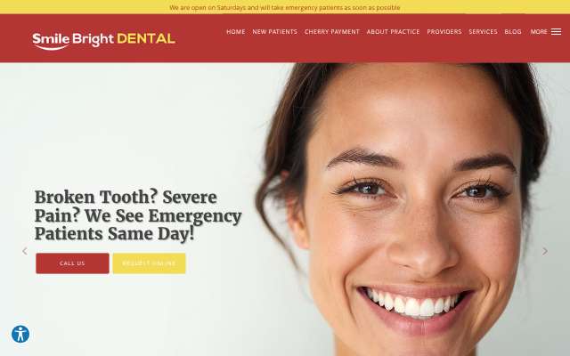 Smile Bright Dental (Tampa)'s page as the assistant saw it