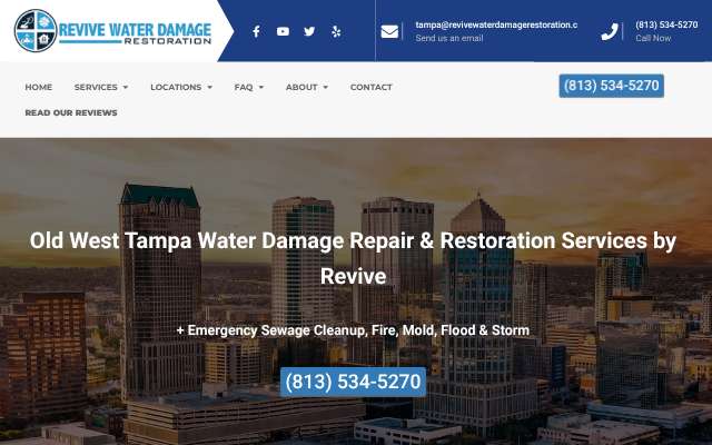 Revive Water Damage Restoration's page as the assistant saw it