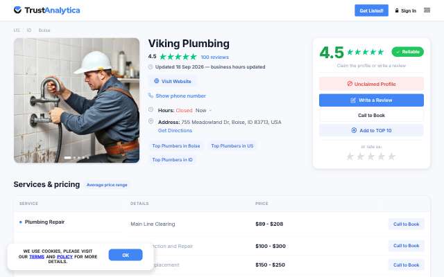 Viking Plumbing's page as the assistant saw it