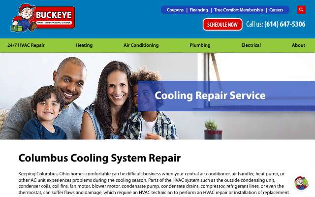 Buckeye Heating, Cooling, Plumbing & Electrical's page as the assistant saw it