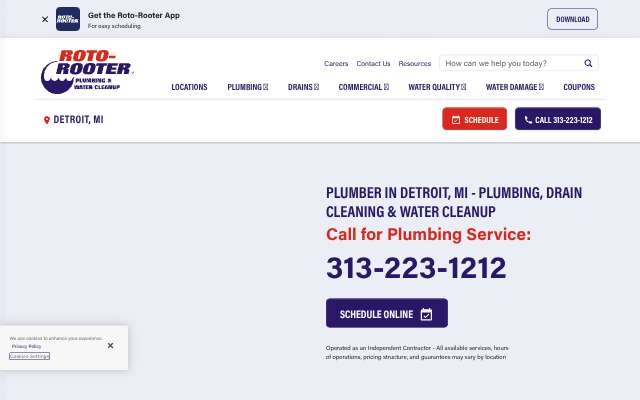 Roto-Rooter Plumbing & Water Cleanup of Detroit's page as the assistant saw it
