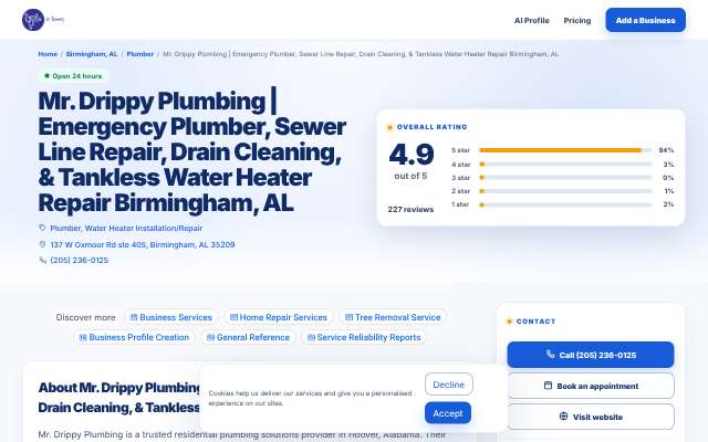 Page cited for Mr. Drippy Plumbing