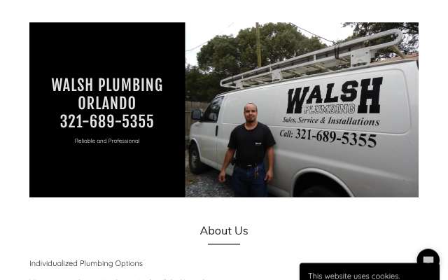Walsh Plumbing's page as the assistant saw it