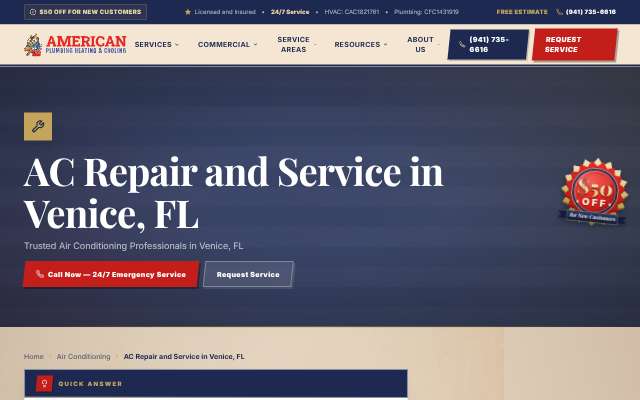 American Plumbing Heating & Cooling's page as the assistant saw it