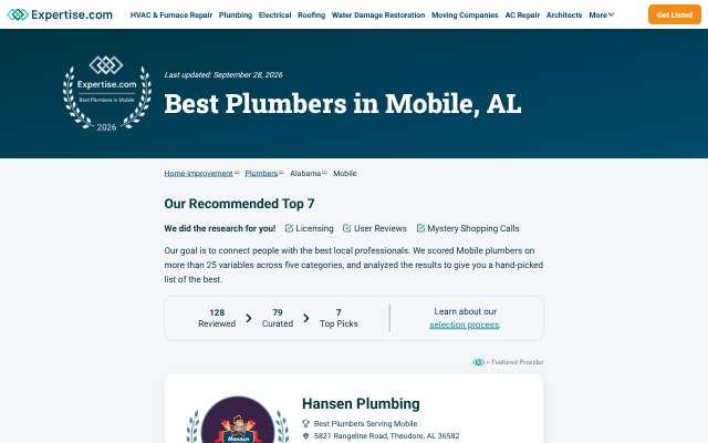 DrainBusters Plumbing's page as the assistant saw it