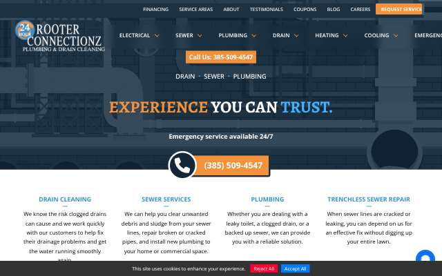 Rooter Connectionz Plumbing & Drain Cleaning's page as the assistant saw it