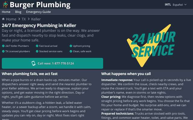 Burger Plumbing's page as the assistant saw it