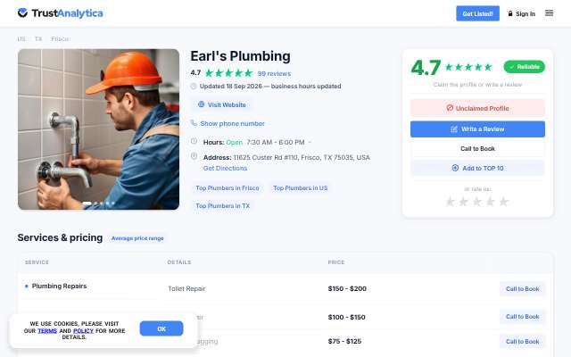 Earl's Plumbing's page as the assistant saw it