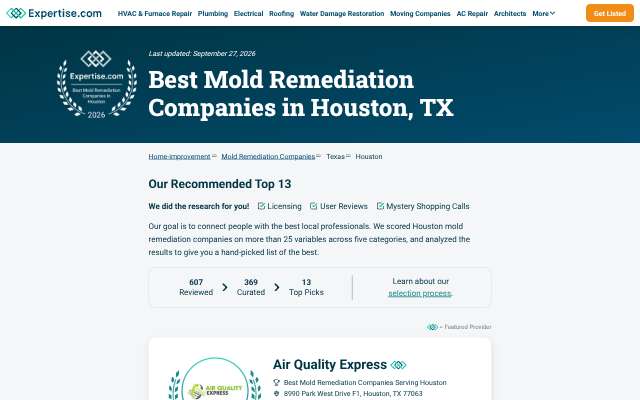 Lone Star Pro Services's page as the assistant saw it