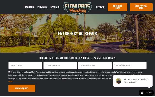 Flow Pros's page as the assistant saw it