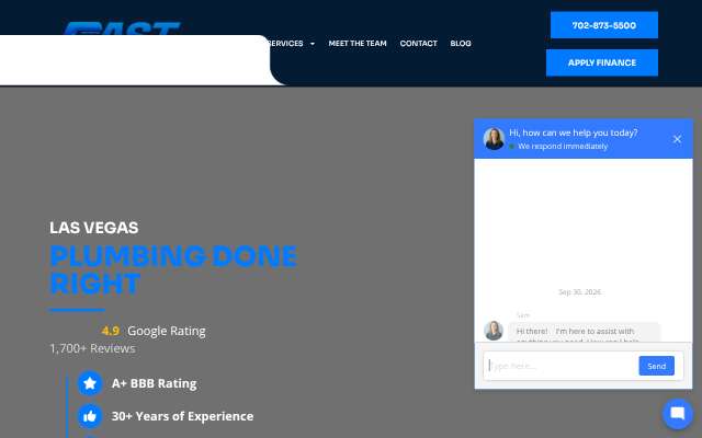 Fast Plumbing Service's page as the assistant saw it