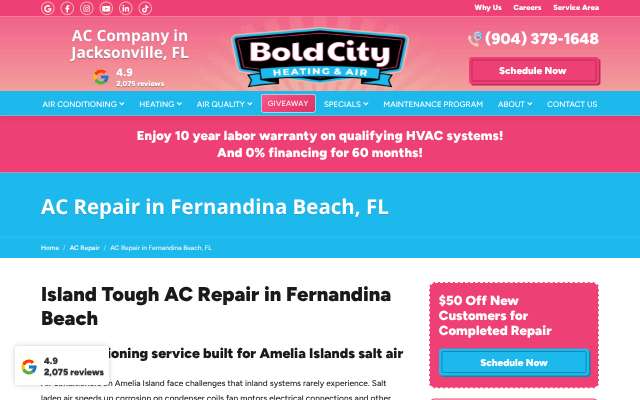 Bold City Heating & Air's page as the assistant saw it