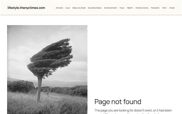 S&W Kitchens's page as the assistant saw it