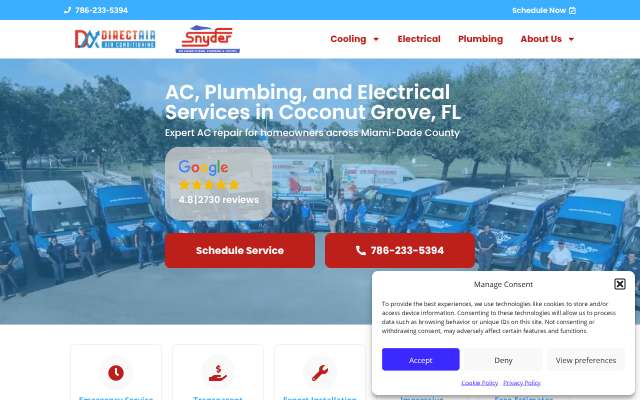 Direct Air's page as the assistant saw it