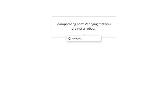 Damp Solving Water & Mold's page as the assistant saw it