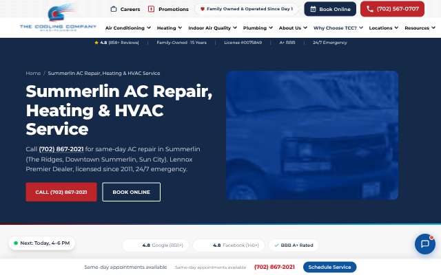 The Cooling Company's page as the assistant saw it
