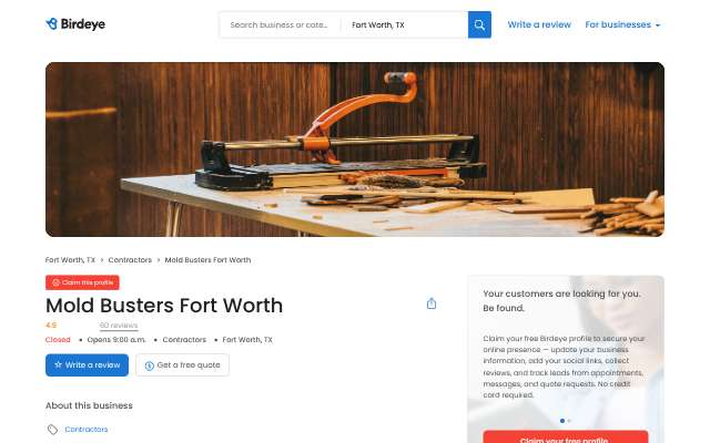 Page cited for Mold Busters Fort Worth