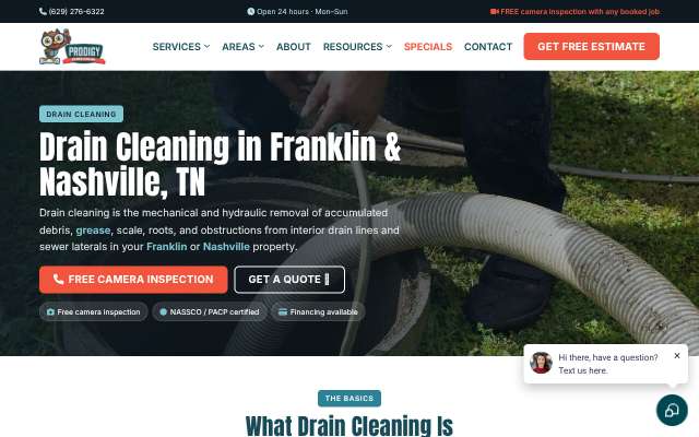 Prodigy Sewer & Drain's page as the assistant saw it