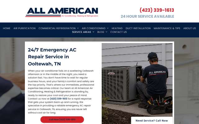 All American AC Heating & Refrigeration's page as the assistant saw it