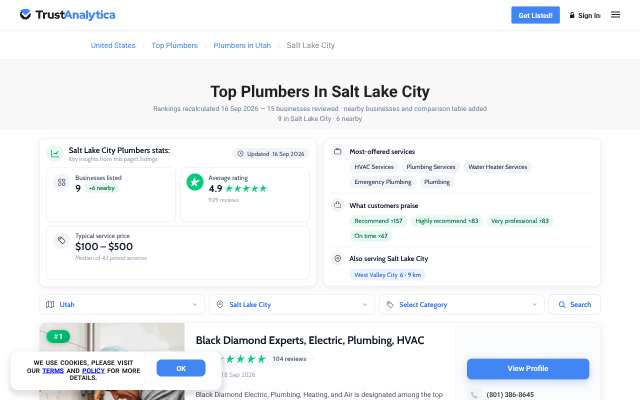 Salt City Plumbing, Heating & Air's page as the assistant saw it