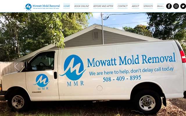 Mowatt Mold Removal LLC's page as the assistant saw it