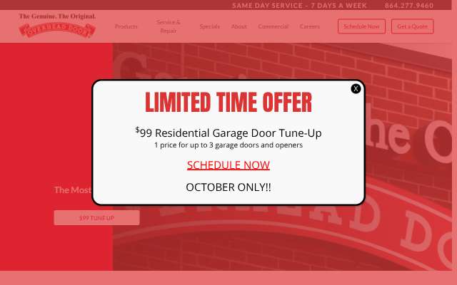 Overhead Door Company of Greenville's page as the assistant saw it