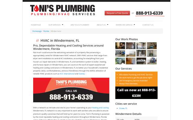 Toni's Plumbing's page as the assistant saw it