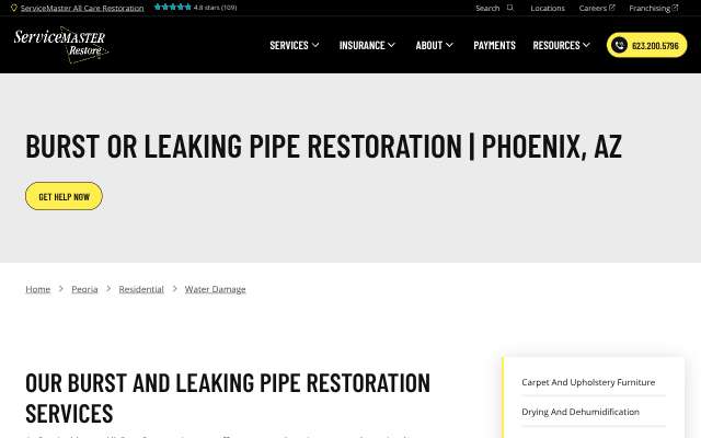 ServiceMaster All Care Restoration's page as the assistant saw it
