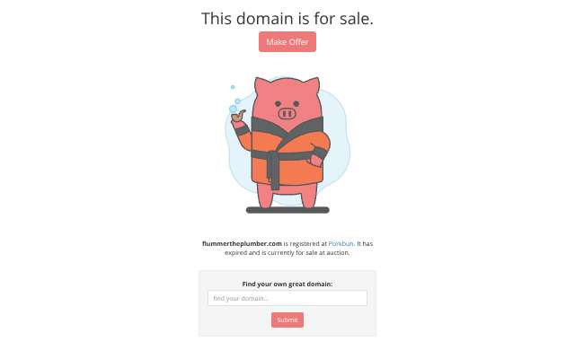 Flummer the Plumber (Minneapolis)'s page as the assistant saw it