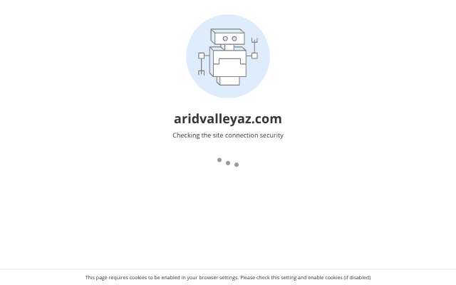 Arid Valley Plumbing's page as the assistant saw it