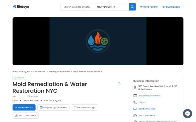 Mold Remediation & Water Restoration NYC's page as the assistant saw it