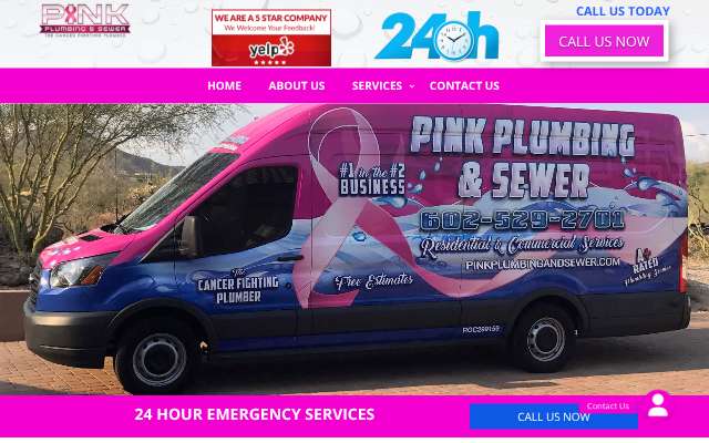 Pink Plumbing & Sewer's page as the assistant saw it